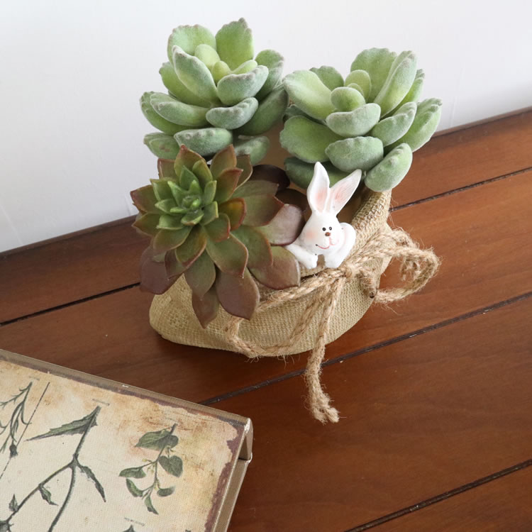 ץ󥿡 ǥ˥󥰥ݥå 2.5ȭ Säʥƥꥢ͢ߥڸΡ