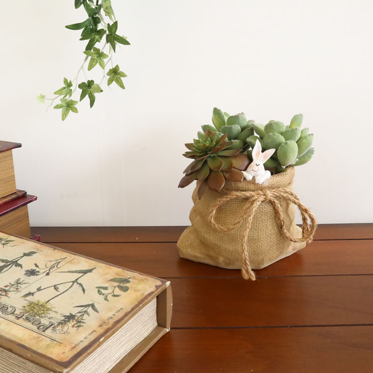 ץ󥿡 ǥ˥󥰥ݥå 2.5ȭ Säʥƥꥢ͢ߥڸΡ