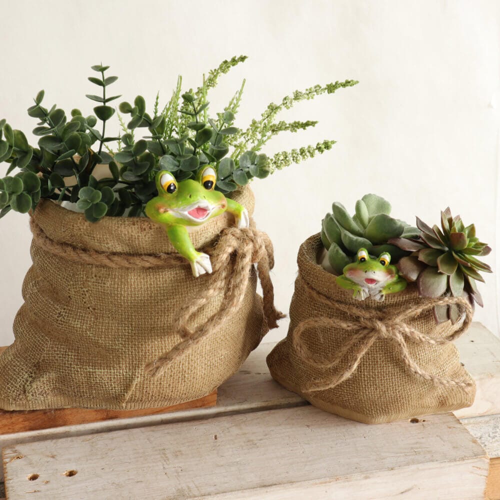 �ץ�󥿡� �����ǥ˥󥰥ݥå� 3��ȭ ������ä������ʥ���ƥꥢ��͢�����ߥ����ڸ������Ρ�