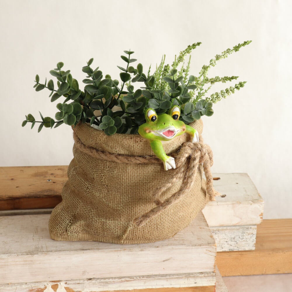 �ץ�󥿡� �����ǥ˥󥰥ݥå� 3��ȭ ������ä������ʥ���ƥꥢ��͢�����ߥ����ڸ������Ρ�