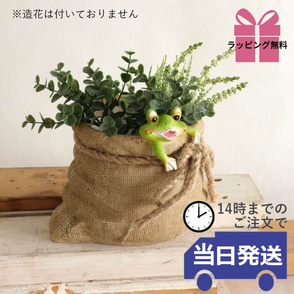 �ץ�󥿡� �����ǥ˥󥰥ݥå� 3��ȭ ������ä������ʥ���ƥꥢ��͢�����ߥ����ڸ������Ρ�