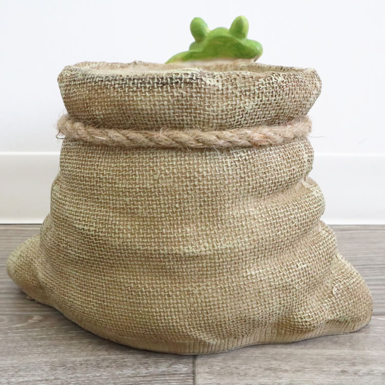 �ץ�󥿡� �����ǥ˥󥰥ݥå� 3��ȭ ������ä������ʥ���ƥꥢ��͢�����ߥ����ڸ������Ρ�