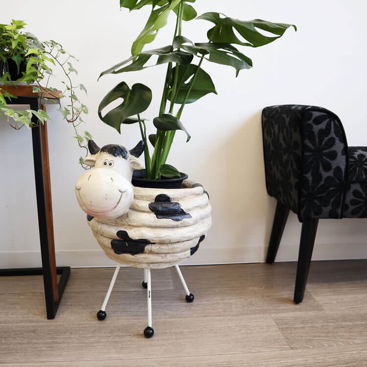 �ץ�󥿡�������� �����ǥ˥�ȭ���С� ���� 5��ȭ�ä������ʥ���ƥꥢ��͢�����ߥ����ڸ������Ρ�