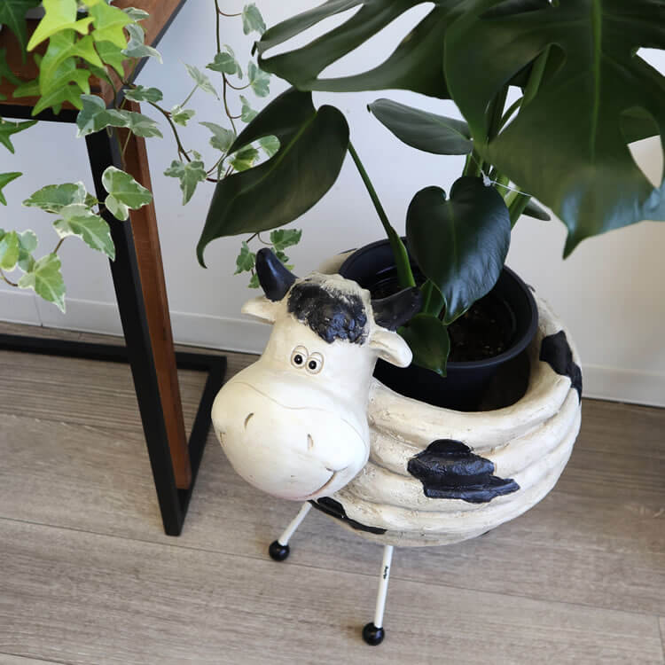 �ץ�󥿡�������� �����ǥ˥�ȭ���С� ���� 5��ȭ�ä������ʥ���ƥꥢ��͢�����ߥ����ڸ������Ρ�