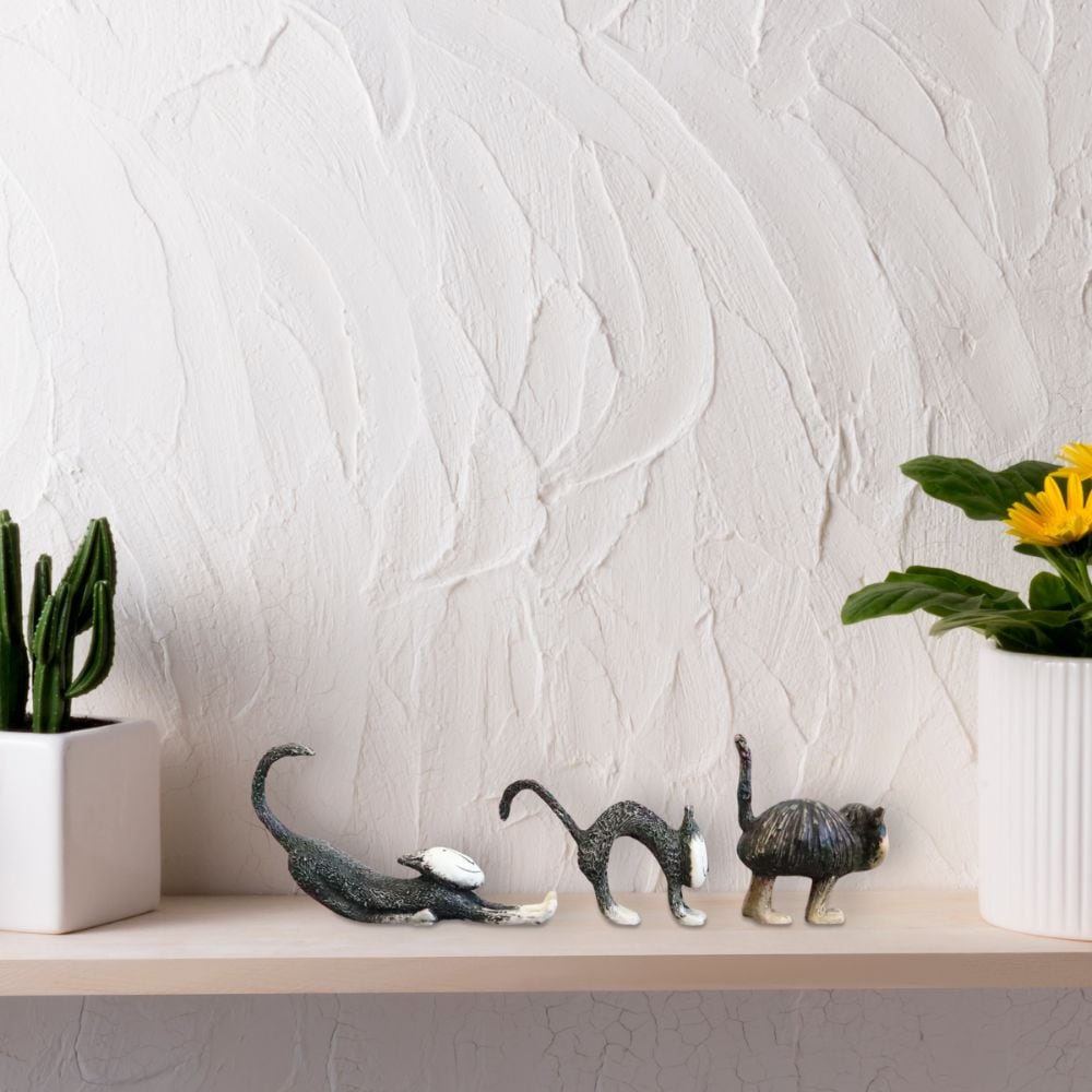 ʪ ͥ6ɤ ̲ʥ ⤵10cmäʥƥꥢ͢ߥڸΡ