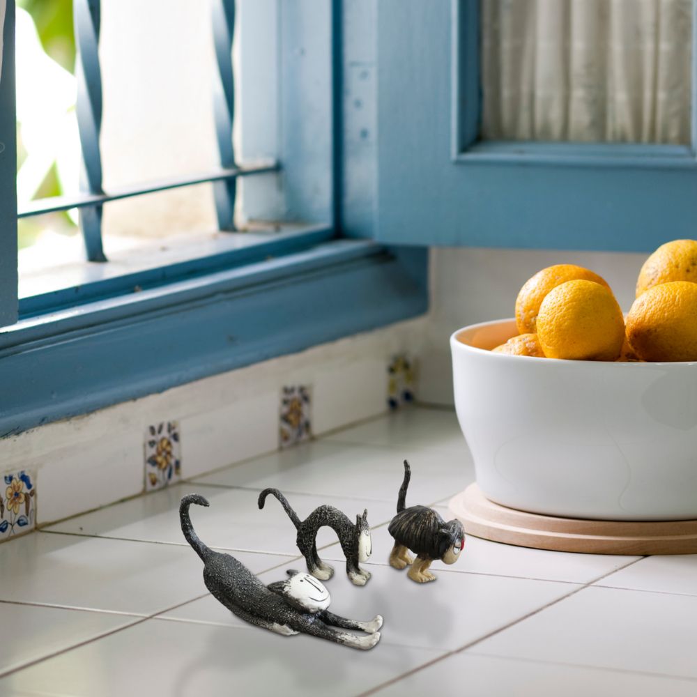 ʪ ͥ6ɤ ̲ʥ ⤵10cmäʥƥꥢ͢ߥڸΡ