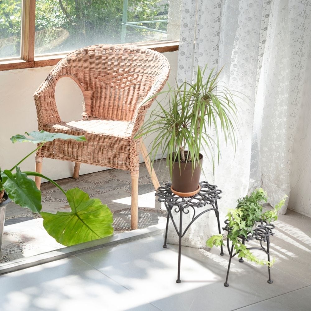  ե 2ĥå ⤵35cmäʥƥꥢ͢ߥڸΡ