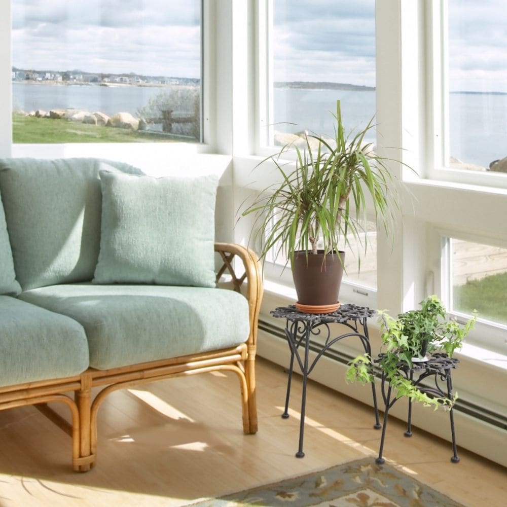  ե 2ĥå ⤵35cmäʥƥꥢ͢ߥڸΡ