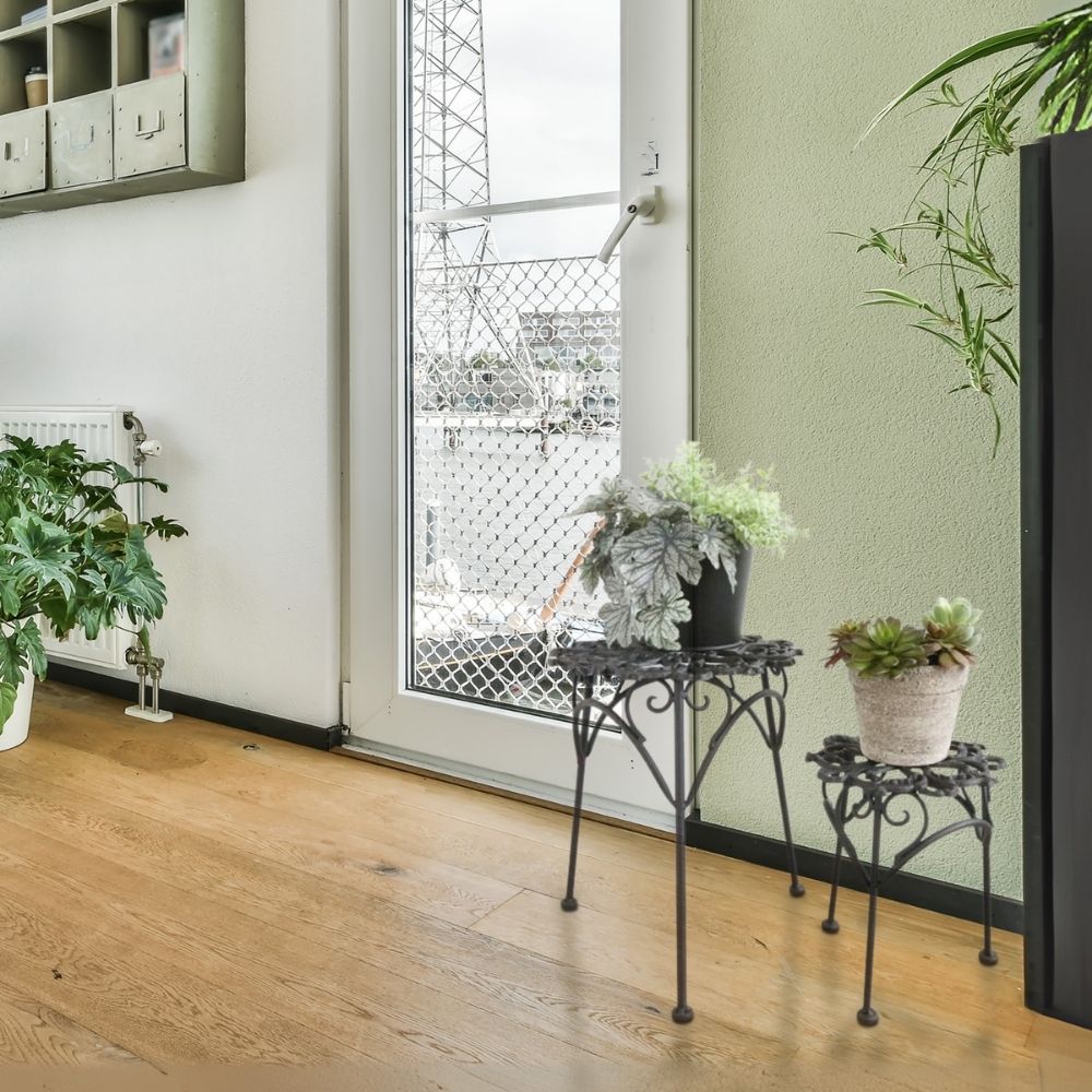  ե 2ĥå ⤵35cmäʥƥꥢ͢ߥڸΡ