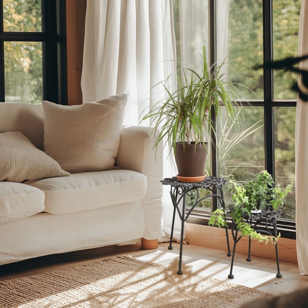  ե 2ĥå ⤵35cmäʥƥꥢ͢ߥڸΡ