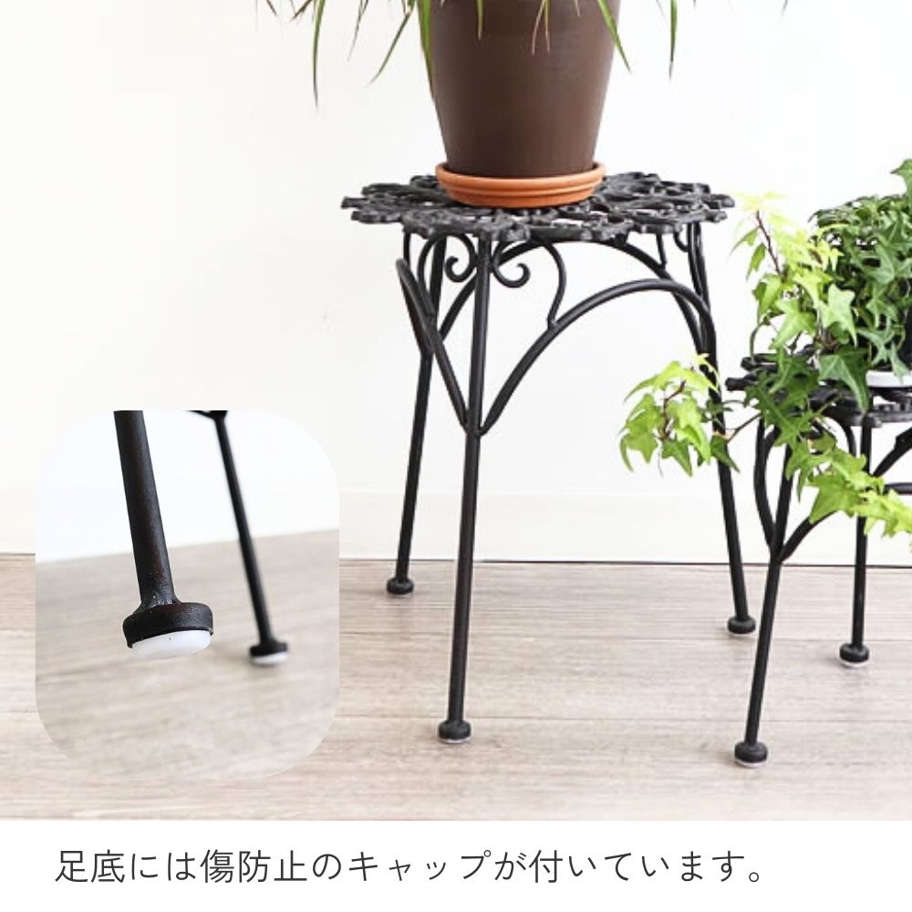 ���� �ե�������� 2�ĥ��å� �⤵35cm�ä������ʥ���ƥꥢ��͢�����ߥ����ڸ������Ρ�