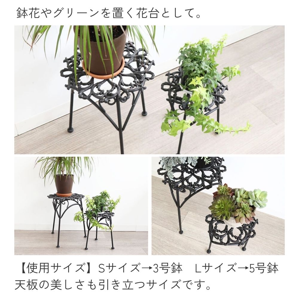 ���� �ե�������� 2�ĥ��å� �⤵35cm�ä������ʥ���ƥꥢ��͢�����ߥ����ڸ������Ρ�