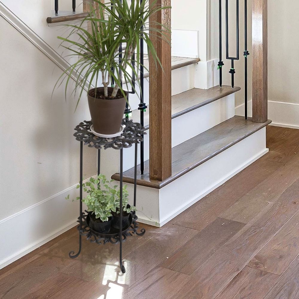 ���� �ץ��ȥ������ �⤵61cm 2�ʡä������ʥ���ƥꥢ��͢�����ߥ����ڸ������Ρ�