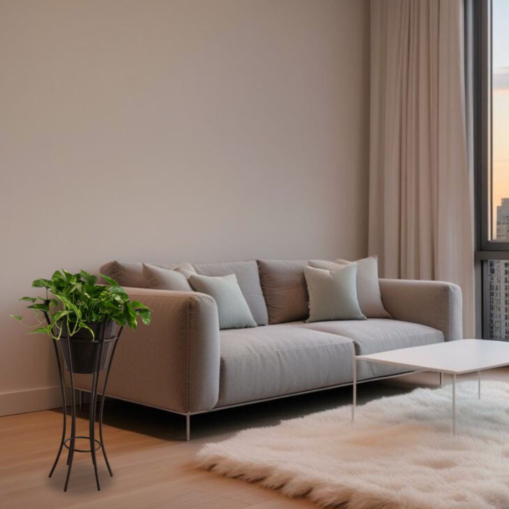 ץ󥿡 ȭС 5ȭ ƥ֥饦 äʥƥꥢ͢ߥڸΡ