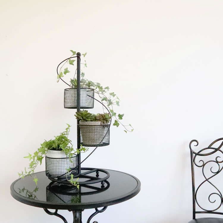 ե ȭС 4ȭ ⤵62cmäʥƥꥢ͢ߥڸΡ