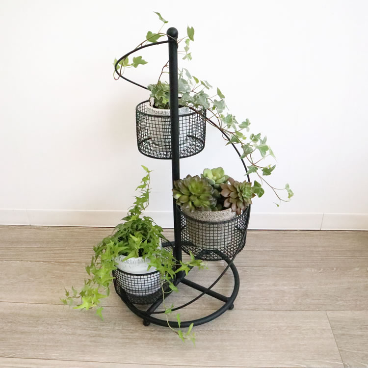 ե ȭС 4ȭ ⤵62cmäʥƥꥢ͢ߥڸΡ