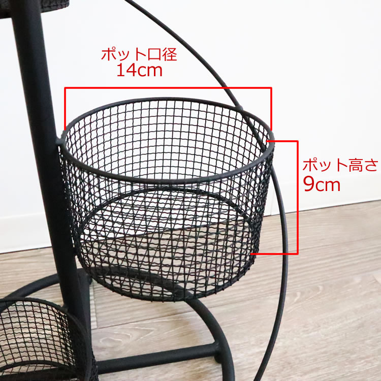 ե ȭС 4ȭ ⤵62cmäʥƥꥢ͢ߥڸΡ