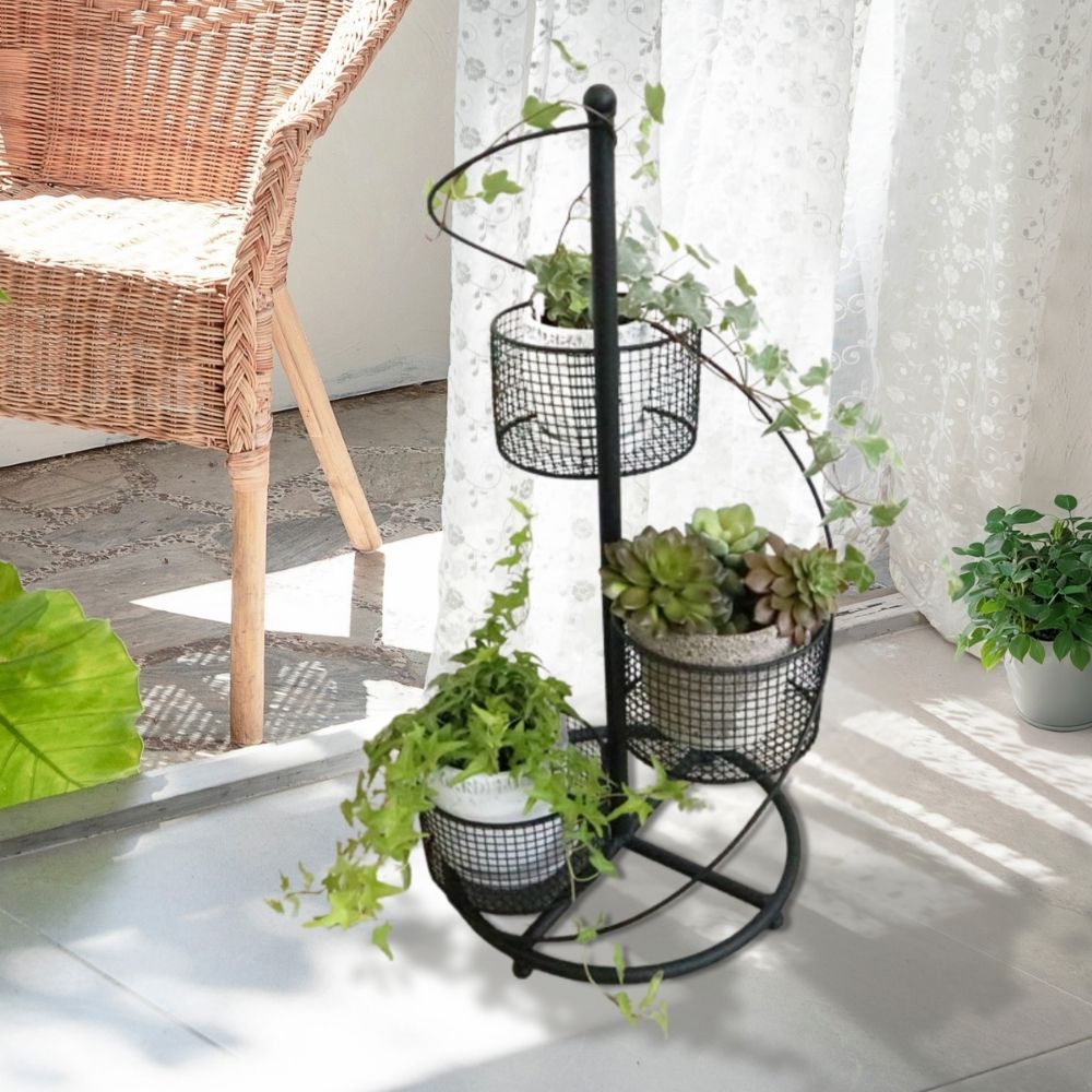 ե ȭС 4ȭ ⤵62cmäʥƥꥢ͢ߥڸΡ