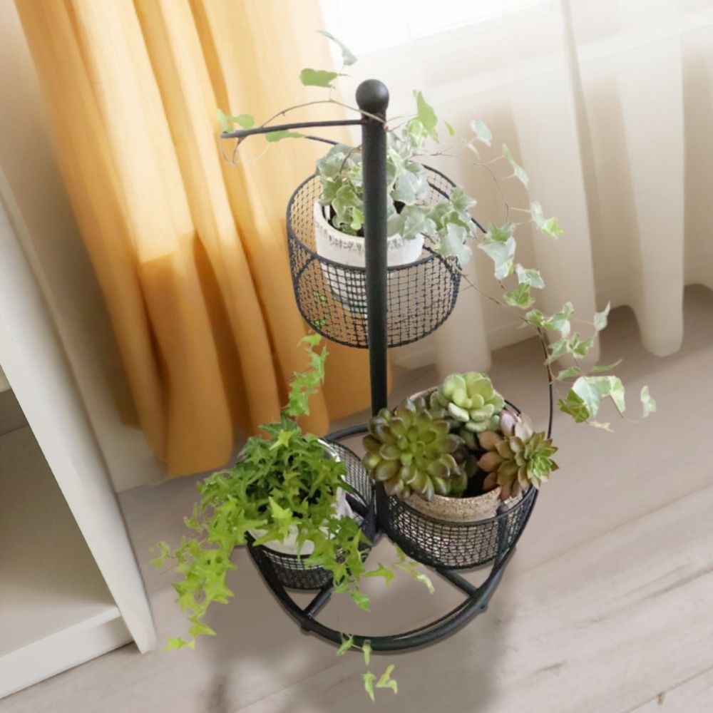 ե ȭС 4ȭ ⤵62cmäʥƥꥢ͢ߥڸΡ