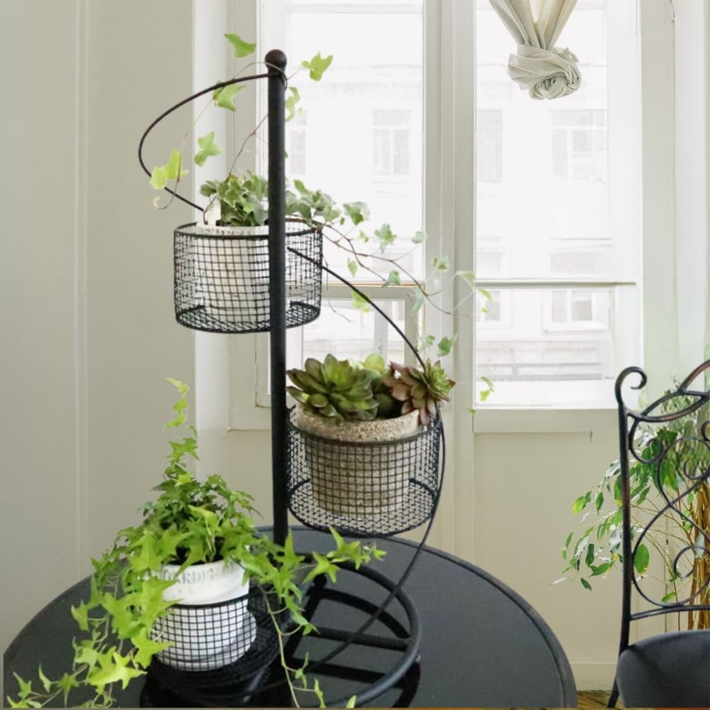 ե ȭС 4ȭ ⤵62cmäʥƥꥢ͢ߥڸΡ