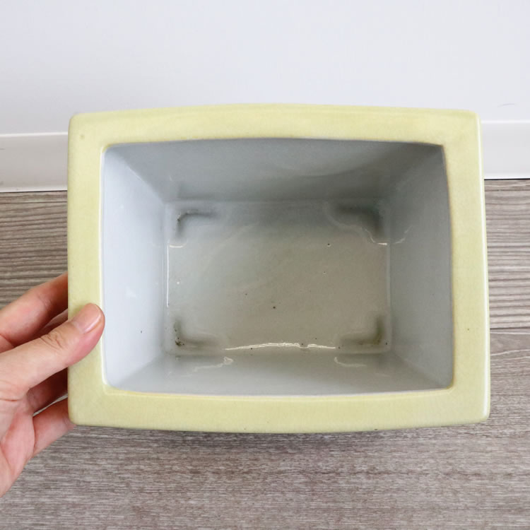 Υ梁ƫ  ͳѷ ⤵16cmäʥƥꥢ͢ߥڸΡ