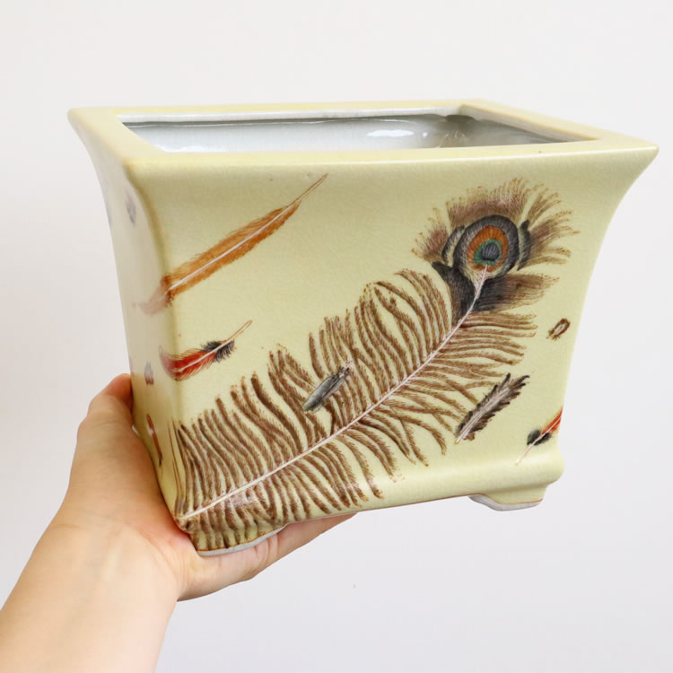 Υ梁ƫ  ͳѷ ⤵16cmäʥƥꥢ͢ߥڸΡ