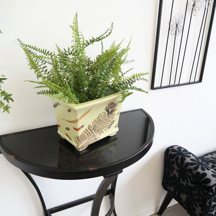 Υ梁ƫ  ͳѷ ⤵16cmäʥƥꥢ͢ߥڸΡ