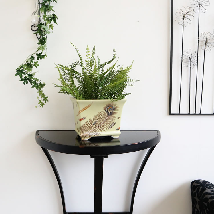 Υ梁ƫ  ͳѷ ⤵16cmäʥƥꥢ͢ߥڸΡ