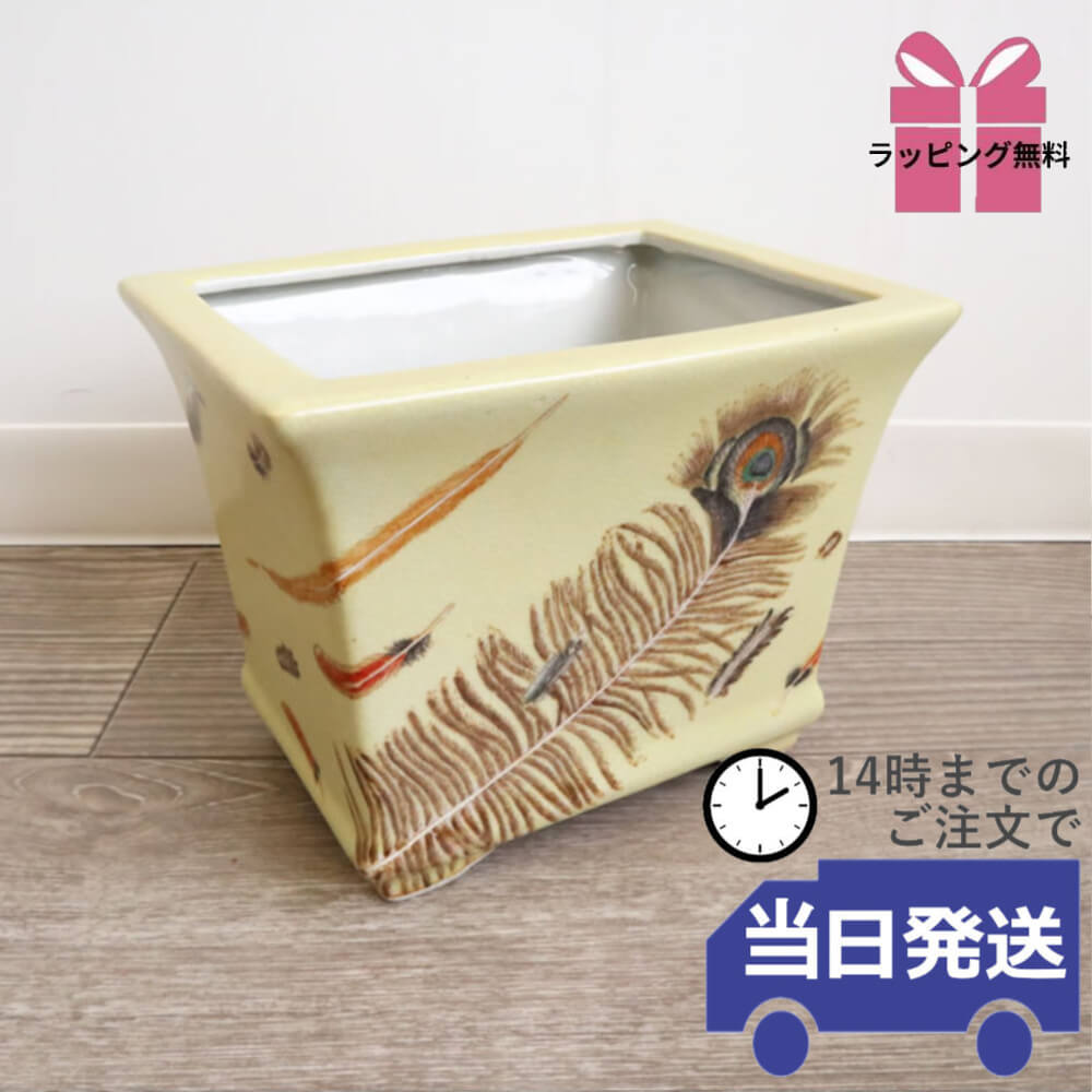 Υ梁ƫ  ͳѷ ⤵16cmäʥƥꥢ͢ߥڸΡ