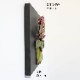 ƥꥢɾ ꡼β 34cm߹⤵cmäʥƥꥢ͢ߥڸΡ