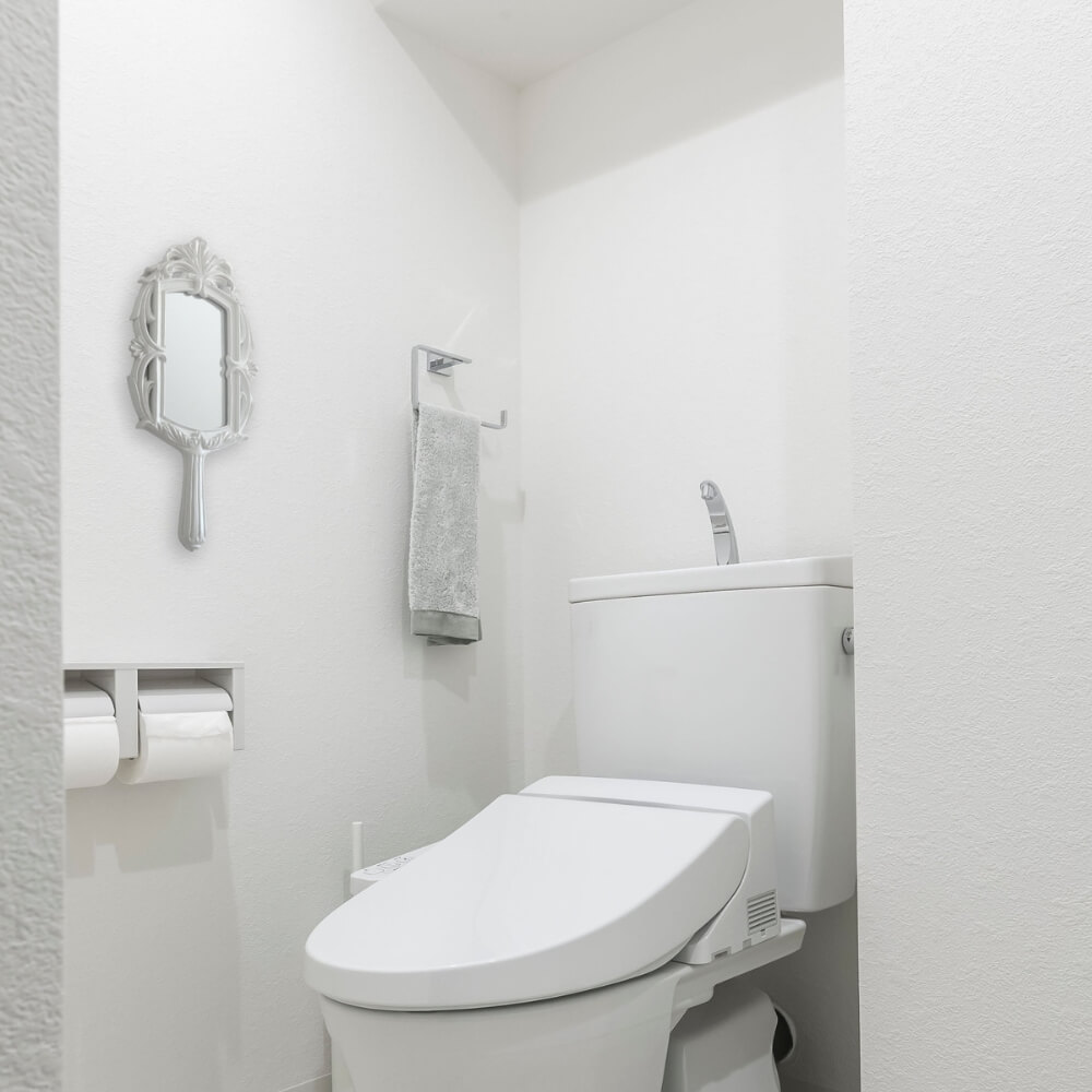 ɳݤߥ顼  ǥ 23.5cm߹⤵44cmäʥƥꥢ͢ߥڸΡ