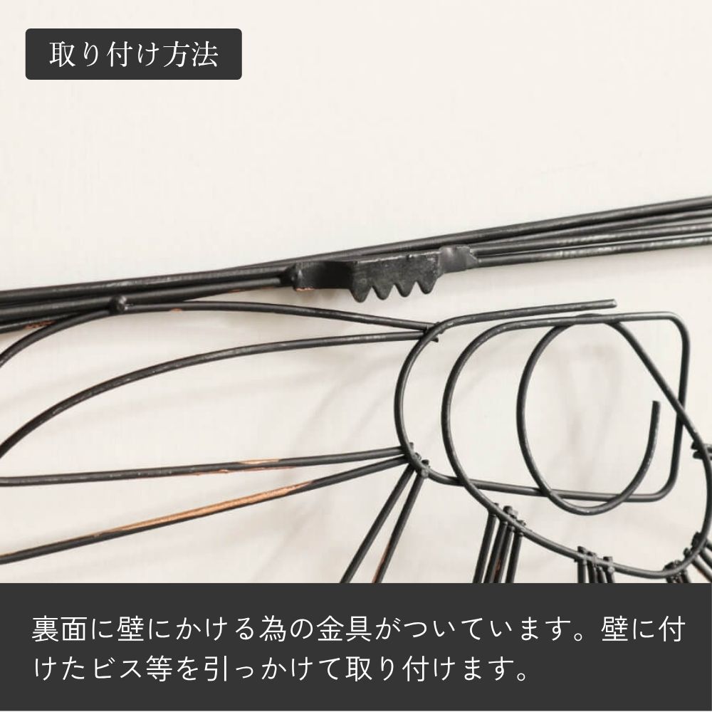 �ɾ��� ����ץ����� ��59cm�߹⤵63cm�ä������ʥ���ƥꥢ��͢�����ߥ����ڸ������Ρ�