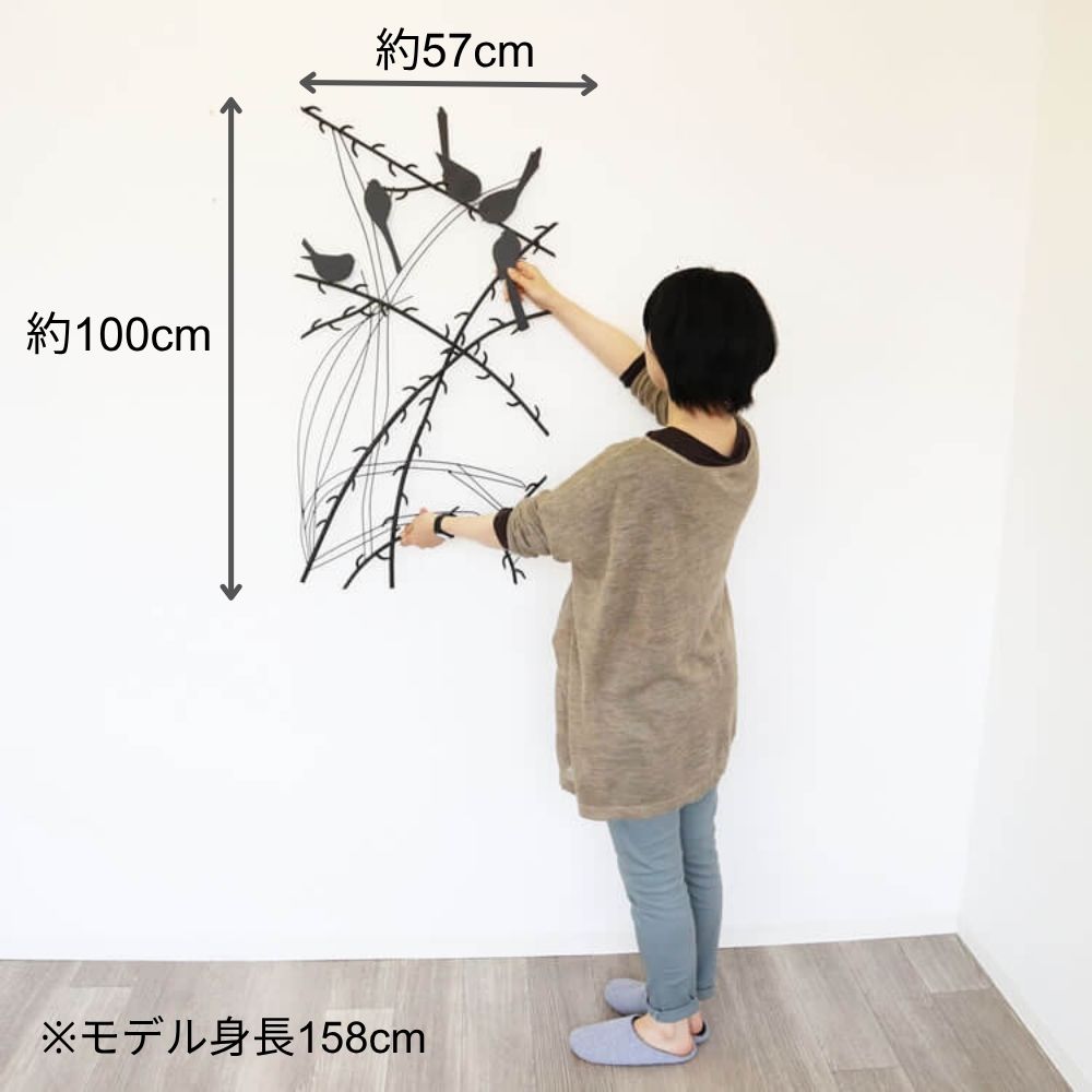 �ɾ��� �Ȥޤ��ھ�Ļ ��57cm�߹⤵100cm�ä������ʥ���ƥꥢ��͢�����ߥ����ڸ������Ρ�