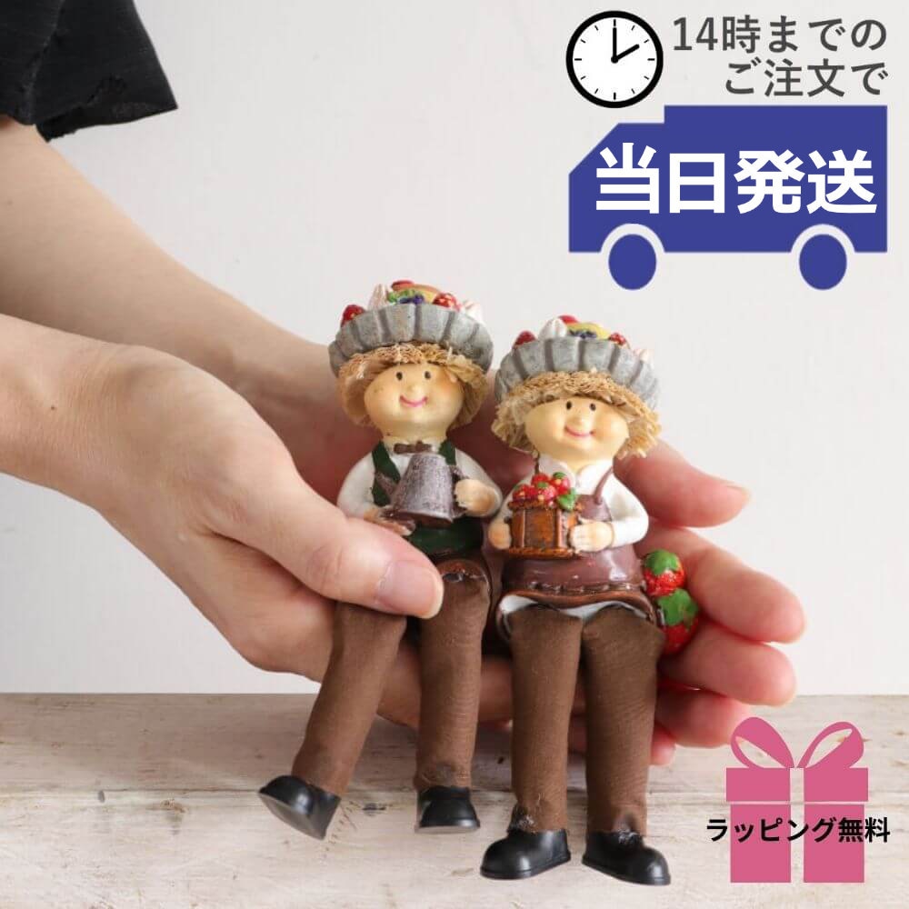 ��ʪ �����ץ�󥢥�⡼�� �����ʥ��� �⤵9cm�ä������ʥ���ƥꥢ��͢�����ߥ���