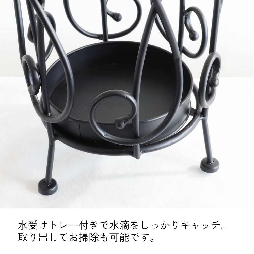 ��Ω�� ����֥�饹����� �������� ��25.5cm�ä������ʥ���ƥꥢ��͢�����ߥ����ڸ������Ρ�
