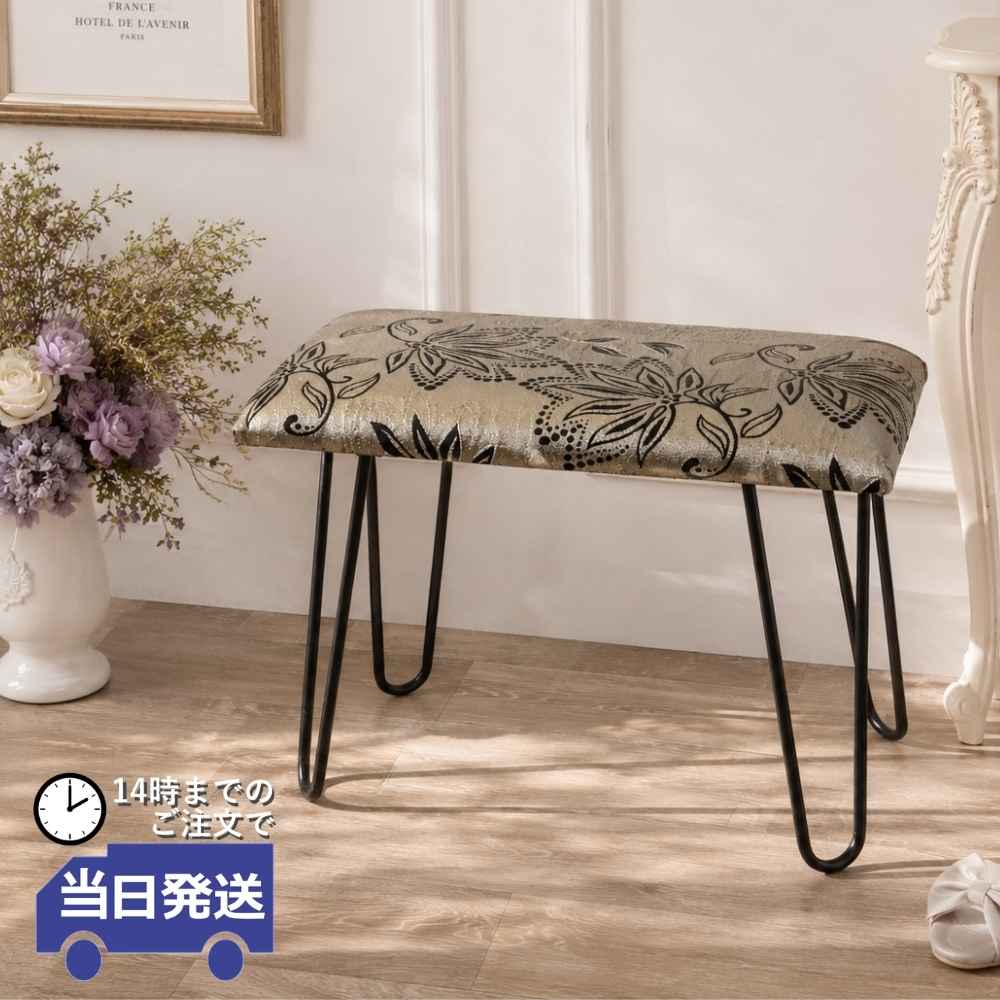���ġ��� �ͳ� ������� ���� ���̹⤵49cm�ä������ʥ���ƥꥢ��͢�����ߥ����ڸ������Ρ�