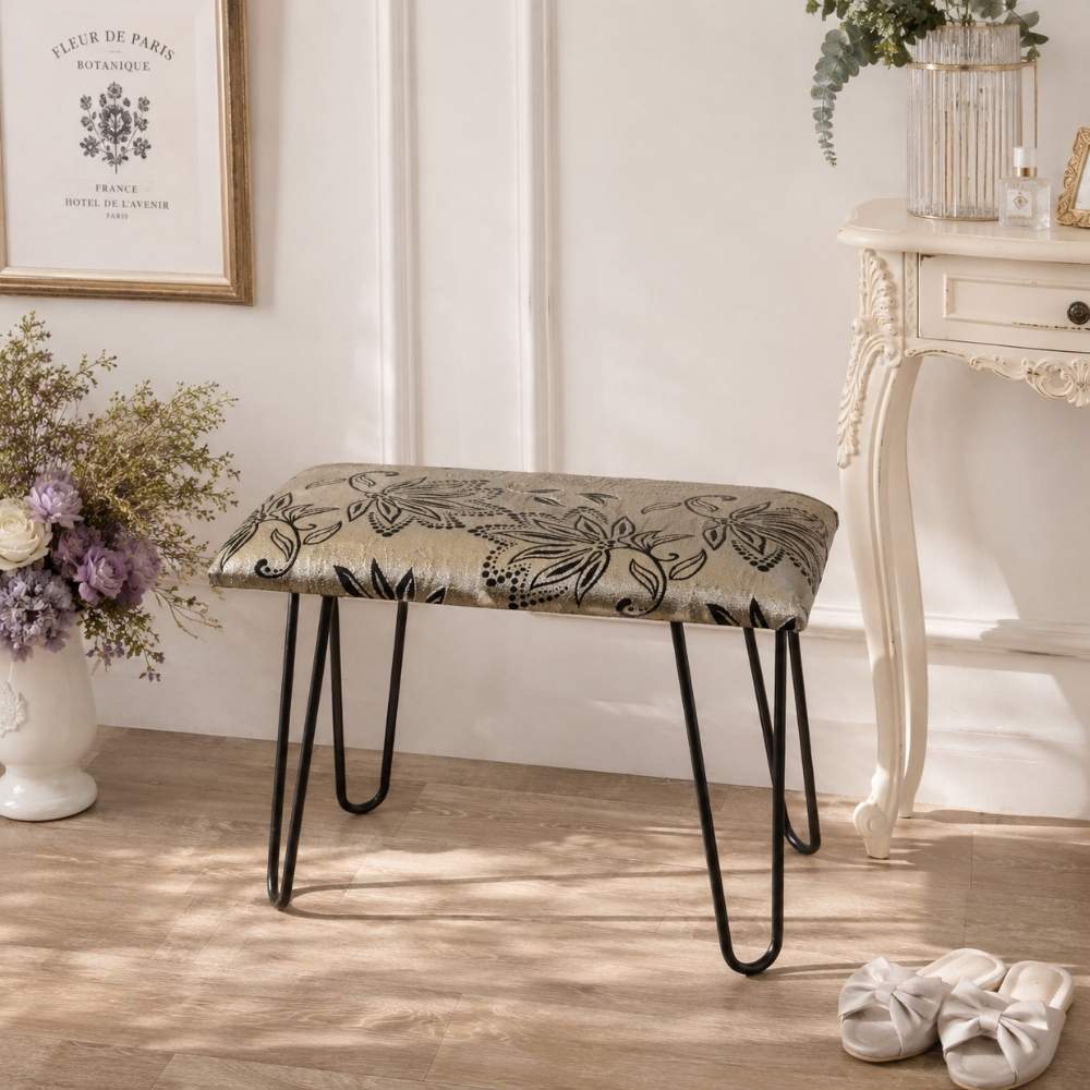 ���ġ��� �ͳ� ������� ���� ���̹⤵49cm�ä������ʥ���ƥꥢ��͢�����ߥ����ڸ������Ρ�