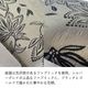 ���ġ��� �ͳ� ������� ���� ���̹⤵49cm�ä������ʥ���ƥꥢ��͢�����ߥ����ڸ������Ρ�