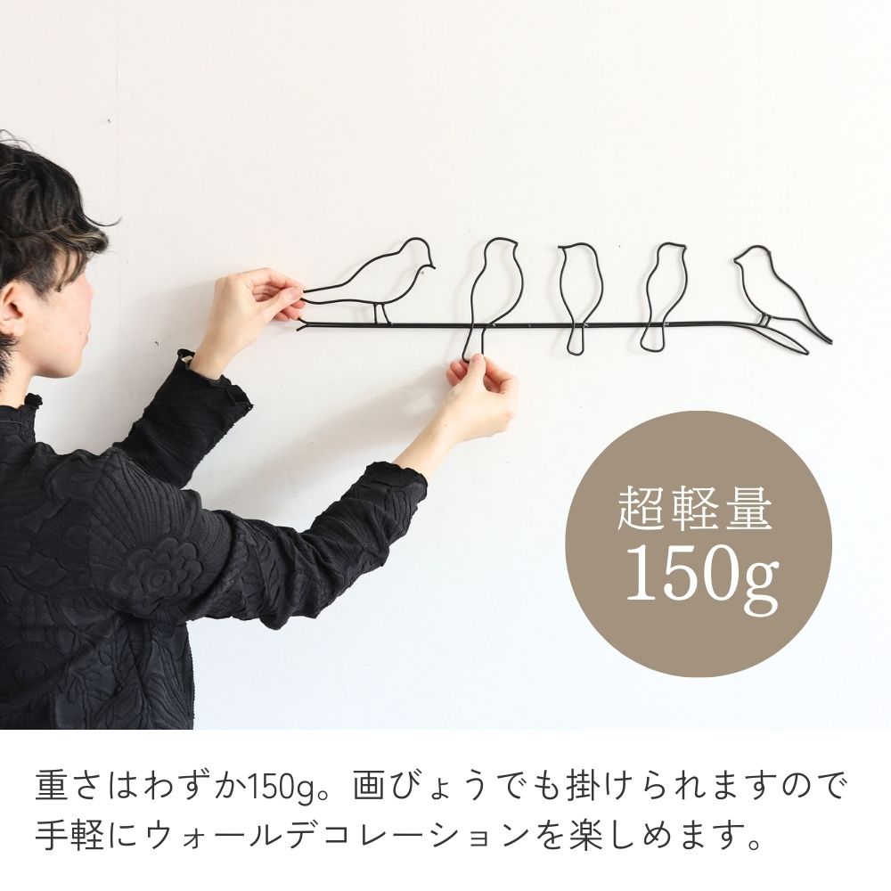 ����ƥꥢ�ɾ��� 5����Ļ ��61�߹⤵14.5cm�ä������ʥ���ƥꥢ��͢�����ߥ����ڸ������Ρ�