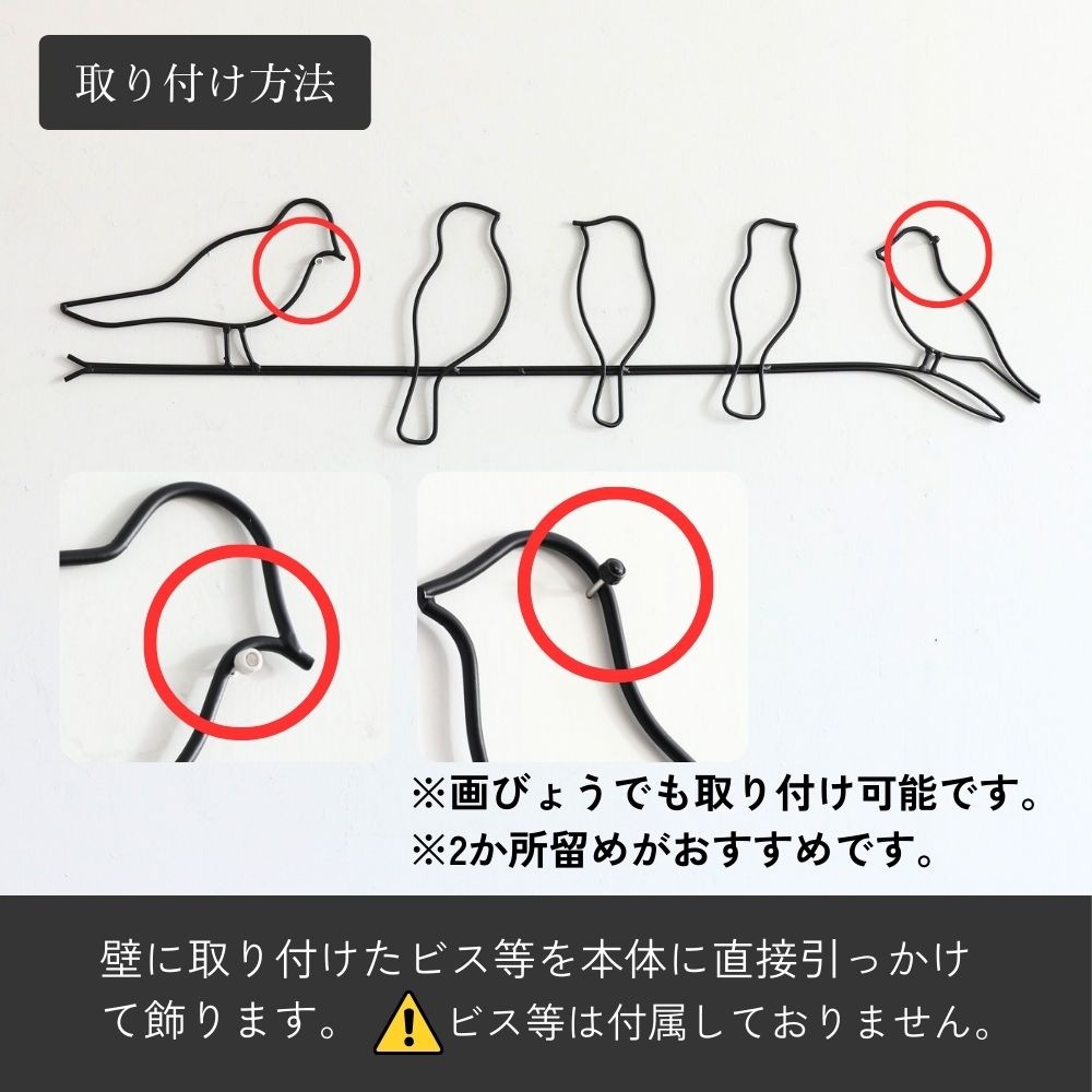 ����ƥꥢ�ɾ��� 5����Ļ ��61�߹⤵14.5cm�ä������ʥ���ƥꥢ��͢�����ߥ����ڸ������Ρ�