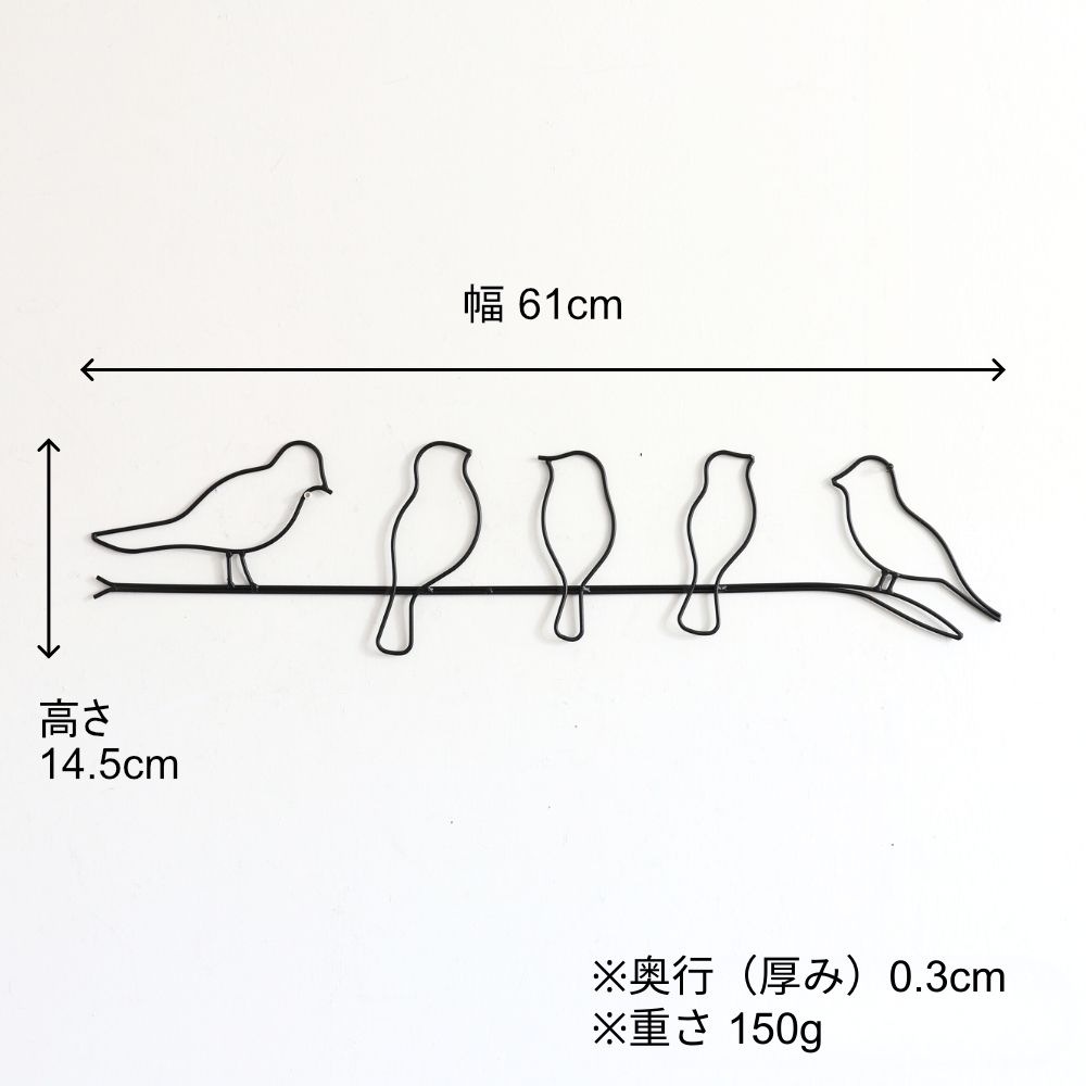 ����ƥꥢ�ɾ��� 5����Ļ ��61�߹⤵14.5cm�ä������ʥ���ƥꥢ��͢�����ߥ����ڸ������Ρ�