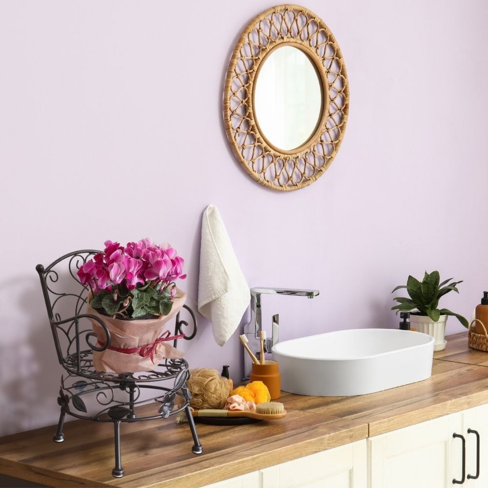 ���� �ץ��ȥ������ ���������� ���̹⤵13cm�ä������ʥ���ƥꥢ��͢�����ߥ����ڸ������Ρ�