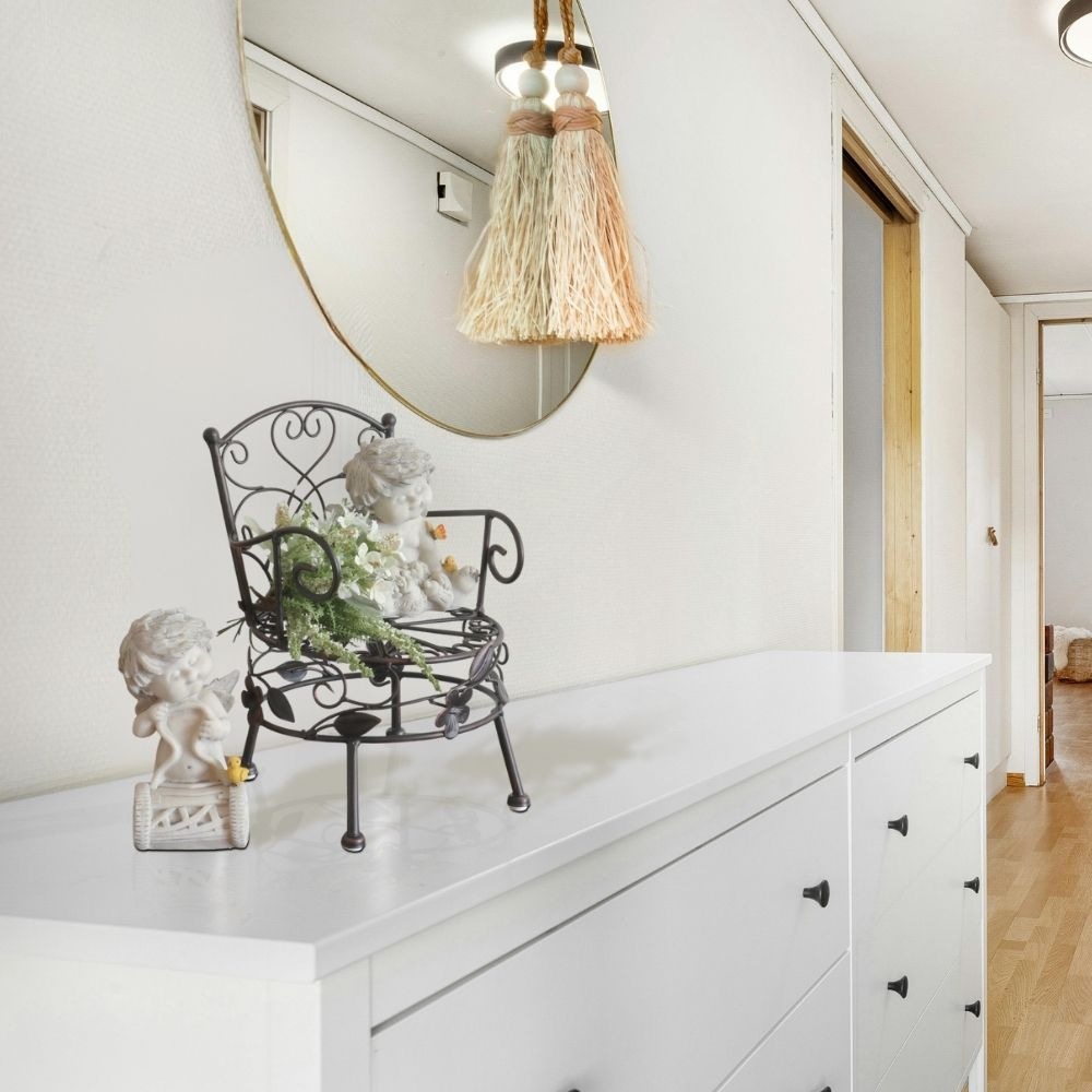 ���� �ץ��ȥ������ ���������� ���̹⤵13cm�ä������ʥ���ƥꥢ��͢�����ߥ����ڸ������Ρ�