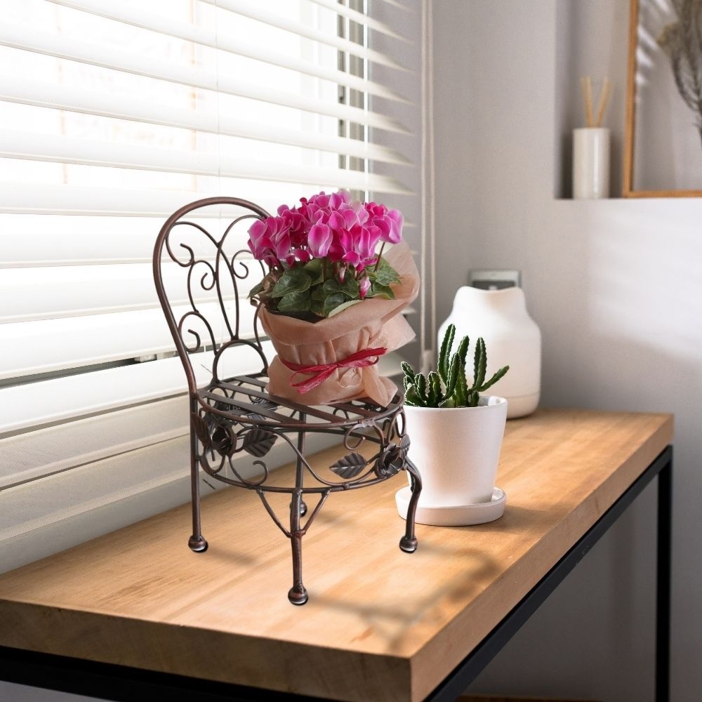 ���� �ץ��ȥ������ ���������� ���̹⤵13cm�ä������ʥ���ƥꥢ��͢�����ߥ����ڸ������Ρ�