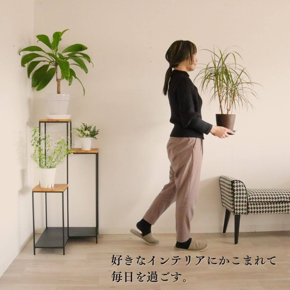  ʡå ॹ ⤵101cmäʥƥꥢ͢ߥڸΡ