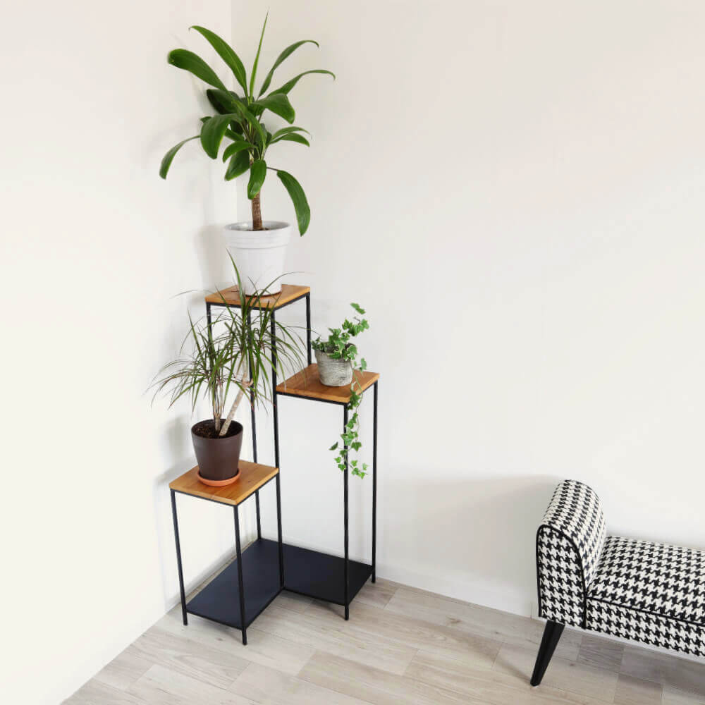  ʡå ॹ ⤵101cmäʥƥꥢ͢ߥڸΡ