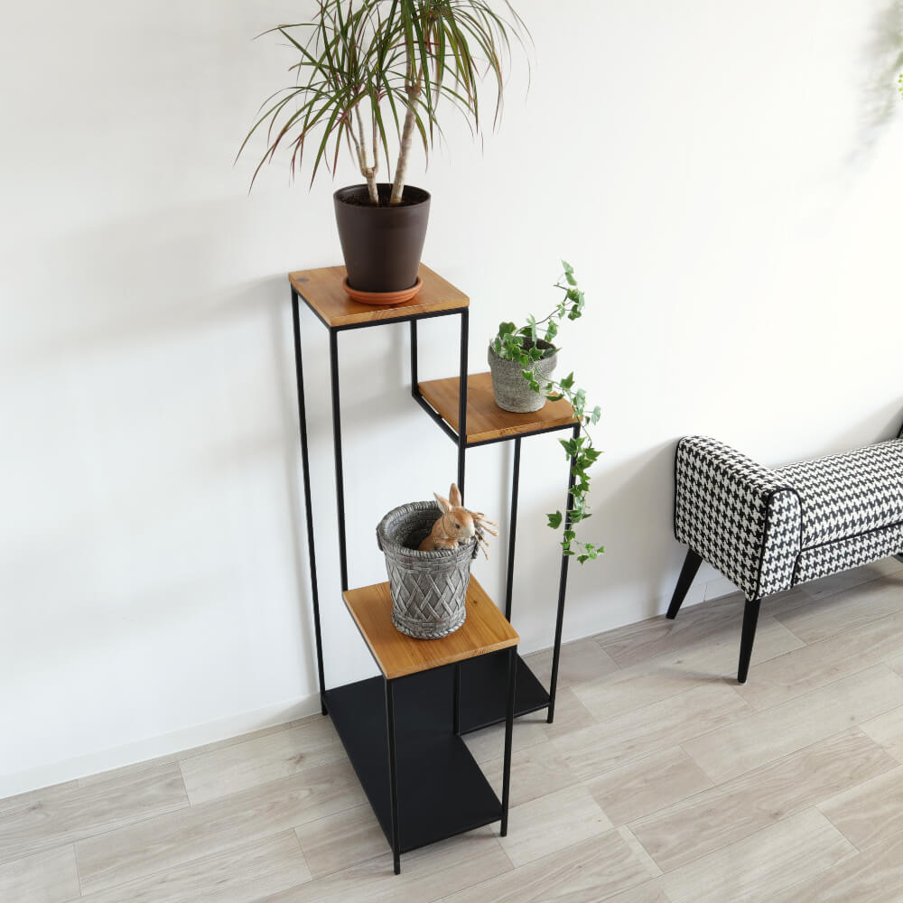  ʡå ॹ ⤵101cmäʥƥꥢ͢ߥڸΡ