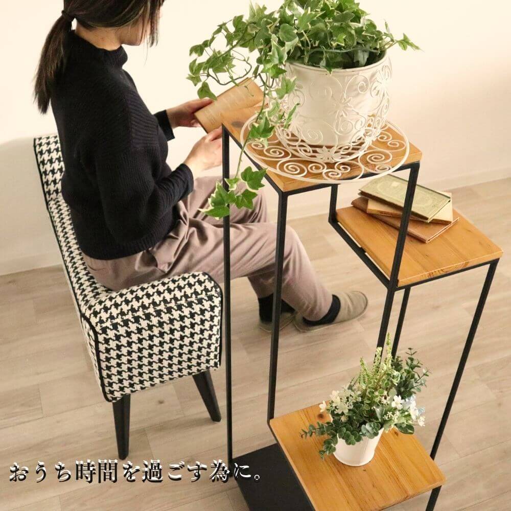  ʡå ॹ ⤵101cmäʥƥꥢ͢ߥڸΡ