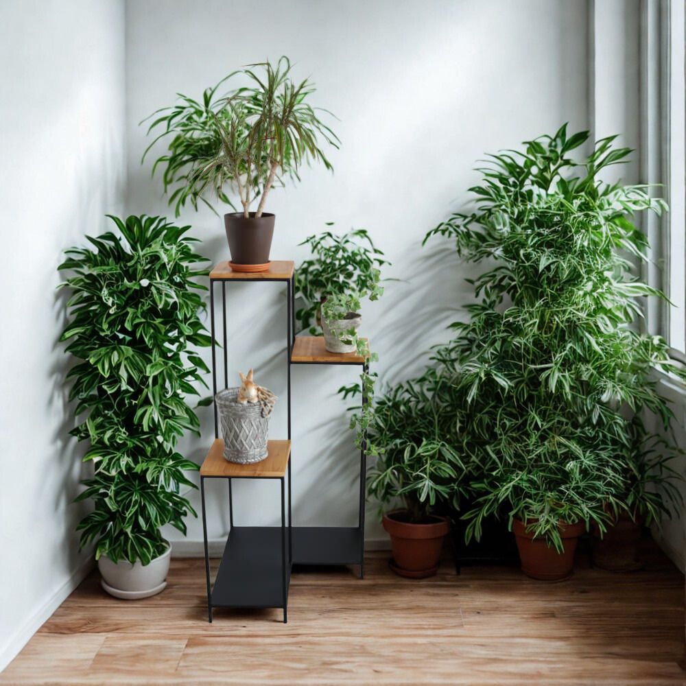  ʡå ॹ ⤵101cmäʥƥꥢ͢ߥڸΡ