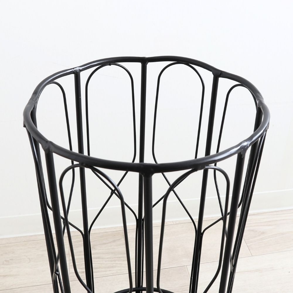 ��Ω�� ����ץ�ݷ� ���������� ��24cm�ä������ʥ���ƥꥢ��͢�����ߥ����ڸ������Ρ�